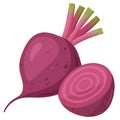 Cartoon beet vegetable. Raw fresh beetroot, whole vegetable and half, organic vegetables for healthy lifestyle flat vector