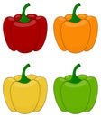 Cartoon bell pepper set. Red, orange, yellow and green peppers. Vector illustration collection