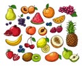 Cartoon Berries And Fruits. Pineapple Grapes, Pear Apple, Orange Mango, Melon Kiwi, Banana Lemon. Vector Isolated Set