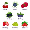 Cartoon berries menu. Raspberry, blackberry, gooseberry, red currant, black currant