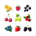 Cartoon berries. Strawberry raspberry cherry blueberry gooseberry blackberry buckthorn. Cartoon berry vector isolated