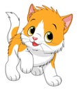 Cartoon bicolor kitten