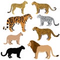 Cartoon big cats vector set Royalty Free Stock Photo