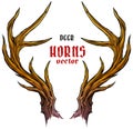 Cartoon big deer horns or antlers vector Royalty Free Stock Photo