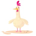 Cartoon big fat hen isolated on a white background. Vector illustration of a chicken. Royalty Free Stock Photo