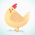 Cartoon big fat hen on a white background. Vector illustration of a chicken. Royalty Free Stock Photo