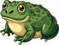 Big green toad smiling and resting on white background- Royalty Free Stock Photo