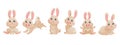 Cartoon big set of cute bunnies. Banner with vector illustrations. Vector brown bunny is sitting, jumping in cute poses