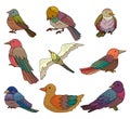 Cartoon bird icon Royalty Free Stock Photo
