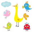 Cartoon bird set. Cute cartoon character. Funny collection for kids. Flat design. Baby illustration.