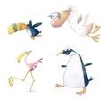 Cartoon Birds