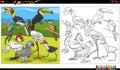 Cartoon birds animal characters group coloring book page Royalty Free Stock Photo