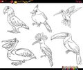 Cartoon birds animal characters set coloring book page Royalty Free Stock Photo