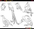 Cartoon birds animal characters set coloring book page Royalty Free Stock Photo