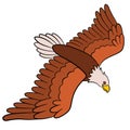 Cartoon birds for kids: Eagle. Cute bald eagle flying.