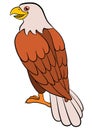 Cartoon birds for kids: Eagle. Cute bald eagle smiles.