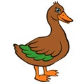 Cartoon birds for kids. Little cute duck stands and smile. Royalty Free Stock Photo