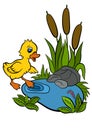 Cartoon birds for kids. Little cute duckling.