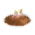 Cartoon birds nest with chicks. Vector illustration Royalty Free Stock Photo