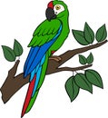 Cartoon birds. Parrot green macaw sits on the tree branch