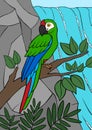 Cartoon birds. Parrot green macaw sits on the tree branch