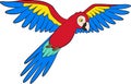 Cartoon birds. Parrot red macaw flies and smiles Royalty Free Stock Photo