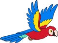 Cartoon birds. Parrot red macaw flies and smiles