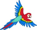 Cartoon birds. Parrot red macaw flies and smiles Royalty Free Stock Photo