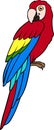 Cartoon birds. Parrot red macaw sits and smiles Royalty Free Stock Photo