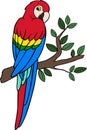 Cartoon birds. Parrot red macaw sits on the tree branch