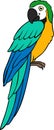 Cartoon birds. Parrot yellow macaw sits and smiles Royalty Free Stock Photo