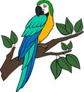 Cartoon birds. Parrot yellow macaw sits on the tree branch Royalty Free Stock Photo