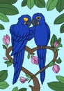 Cartoon birds. Two cute parrots blue macaw sit on the tree branch. The branch looks like a heart