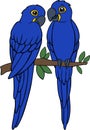 Cartoon birds. Two cute parrots blue macaw sit on the tree branch