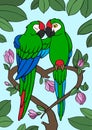 Cartoon birds. Two cute parrots green macaw sit on the tree branch. The branch looks like a heart Royalty Free Stock Photo