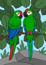 Cartoon birds. Two cute parrots green macaw sit on the tree branch. They are in love Royalty Free Stock Photo