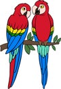 Cartoon birds. Two cute parrots red macaw sit on the tree branch Royalty Free Stock Photo