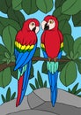 Cartoon birds. Two cute parrots red macaw sit on the tree branch Royalty Free Stock Photo