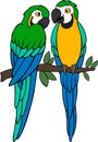 Cartoon birds. Two cute parrots yellow macaw sit on the tree branch Royalty Free Stock Photo