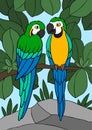 Cartoon birds. Two cute parrots yellow macaw sit on the tree branch Royalty Free Stock Photo