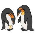 Cartoon birds. Two cute penguins look at the egg