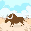 Cartoon Bizon Desert Sand Buffalo Colorful