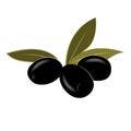 Cartoon black pitted olives isolated on white. Vector illustration