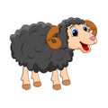 Cartoon black ram design isolated on white background Royalty Free Stock Photo