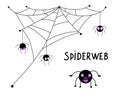 Cartoon black and violet spiders and spider web for Halloween decoration Royalty Free Stock Photo