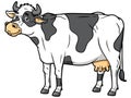 Cartoon black and white cow