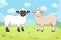 Cartoon black and white sheep on white background Royalty Free Stock Photo