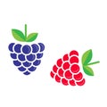 Cartoon blackberry and raspberry vector