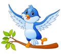 Cartoon blue bird standing on tree branch and posing