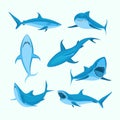 Cartoon Blue Characters Shark Sign Icon Set. Vector